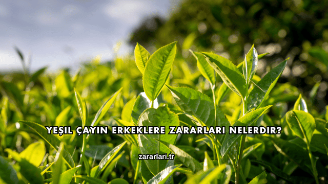 Yeşil Çayın Erkeklere Zararları Nelerdir?