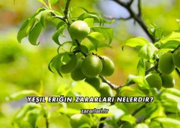 Yeşil Eriğin Zararları Nelerdir?