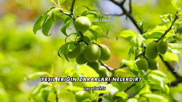 Yeşil Eriğin Zararları Nelerdir?