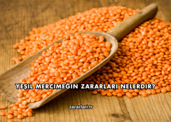 Yeşil Mercimeğin Zararları Nelerdir?