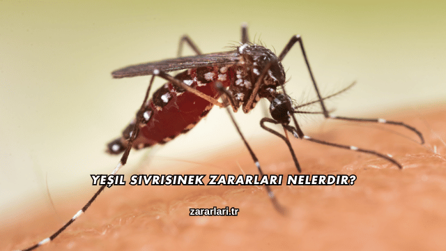 Yeşil Sivrisinek Zararları Nelerdir?