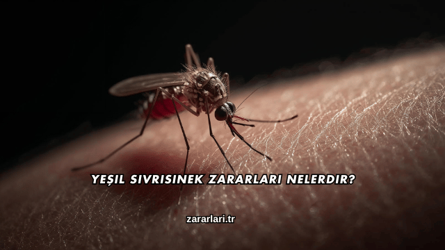 Yeşil Sivrisinek Zararları Nelerdir?