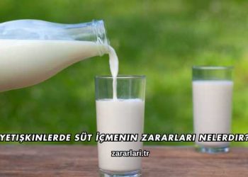 Yetişkinlerde Süt İçmenin Zararları Nelerdir?