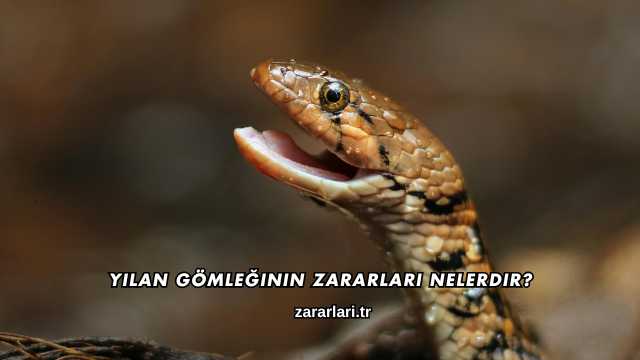 Yılan Gömleğinin Zararları Nelerdir?