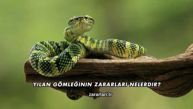 Yılan Gömleğinin Zararları Nelerdir?