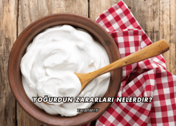 Yoğurdun Zararları Nelerdir?