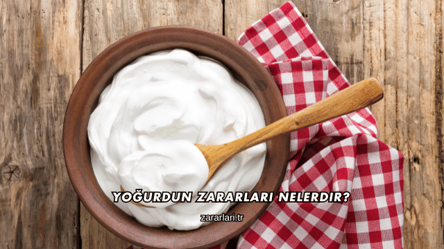 Yoğurdun Zararları Nelerdir?