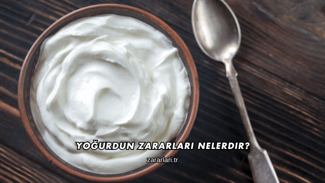 Yoğurdun Zararları Nelerdir?