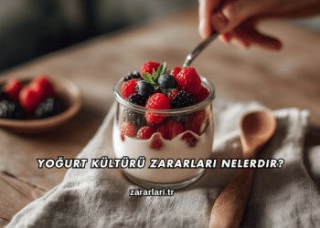 Yoğurt Kültürü Zararları Nelerdir?