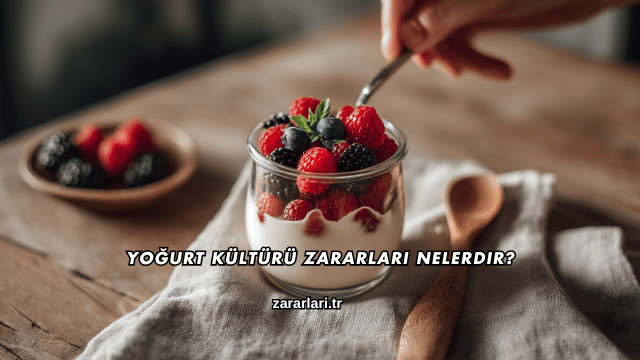 Yoğurt Kültürü Zararları Nelerdir?