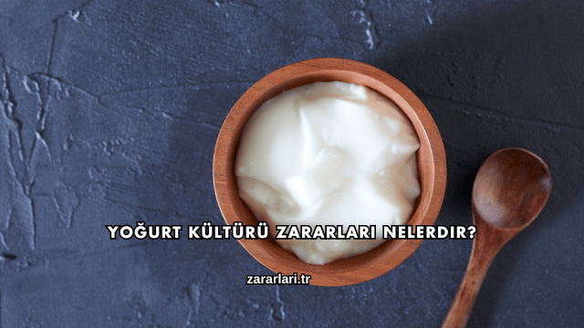 Yoğurt Kültürü Zararları Nelerdir?