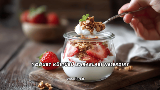 Yoğurt Kültürü Zararları Nelerdir?