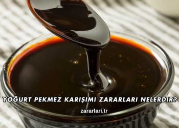 Yoğurt Pekmez Karışımı Zararları Nelerdir?