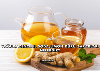 Yoğurt Zencefil Soda Limon Kürü Zararları Nelerdir?