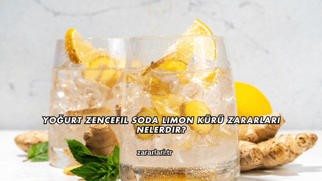 Yoğurt Zencefil Soda Limon Kürü Zararları Nelerdir?