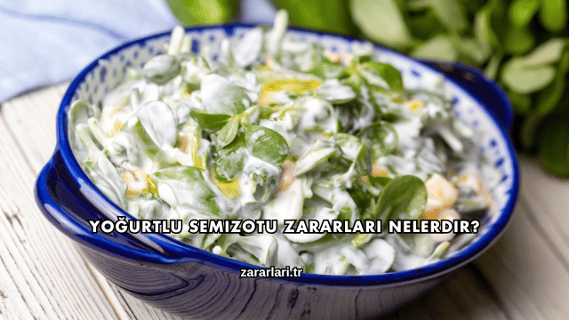Yoğurtlu Semizotu Zararları Nelerdir?