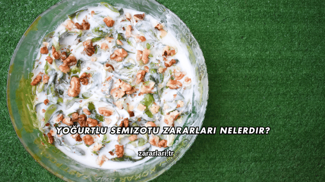 Yoğurtlu Semizotu Zararları Nelerdir?