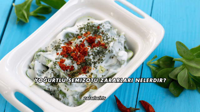Yoğurtlu Semizotu Zararları Nelerdir?