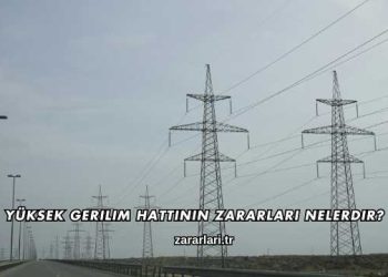 Yüksek Gerilim Hattının Zararları Nelerdir?