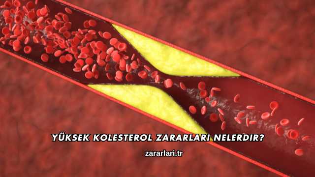 Yüksek Kolesterol Zararları Nelerdir?