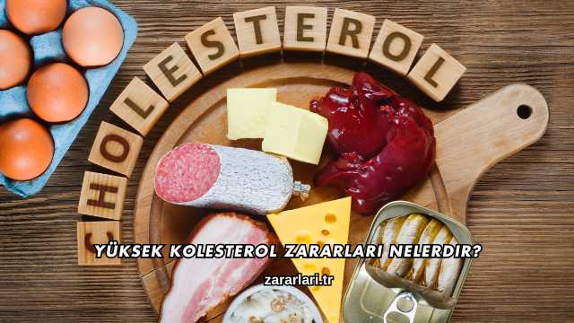 Yüksek Kolesterol Zararları Nelerdir?