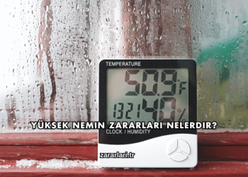 Yüksek Nemin Zararları Nelerdir?