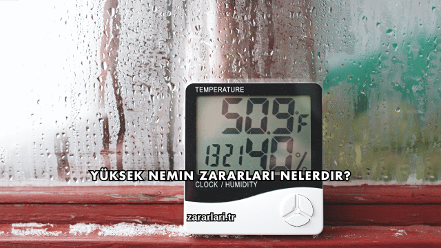 Yüksek Nemin Zararları Nelerdir?