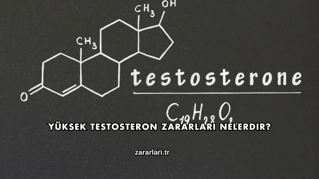 Yüksek Testosteron Zararları Nelerdir?