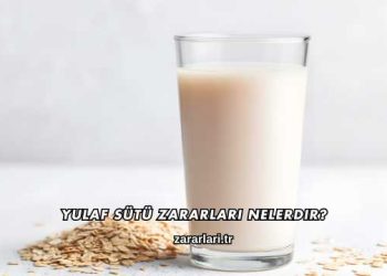 Yulaf Sütü Zararları Nelerdir?