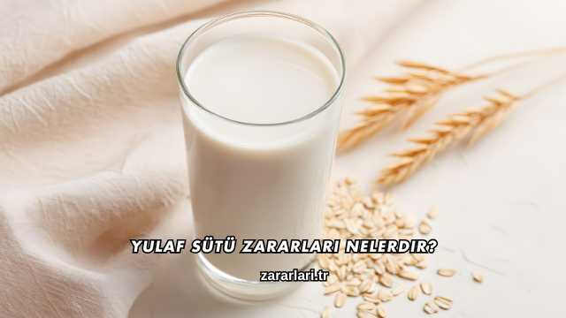Yulaf Sütü Zararları Nelerdir?