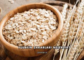 Yulafın Zararları Nelerdir?