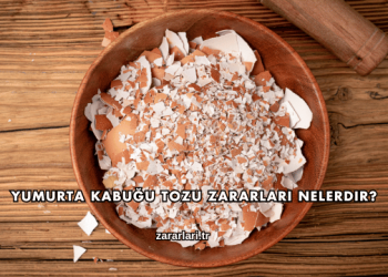 Yumurta Kabuğu Tozu Zararları Nelerdir?