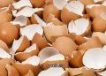 Yumurta Kabuğunun Zararları Nelerdir?