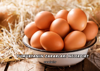 Yumurtanın Zararları Nelerdir?