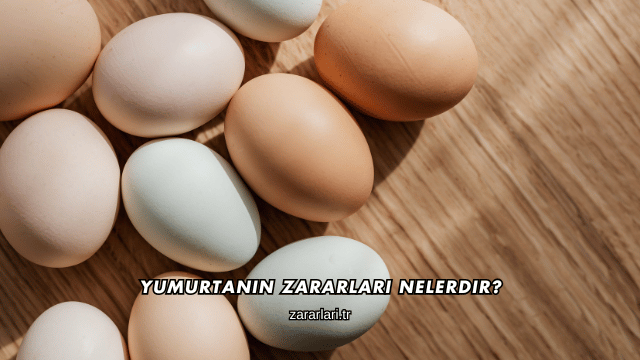 Yumurtanın Zararları Nelerdir?