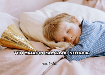 Yün Yatağın Zararları Nelerdir?
