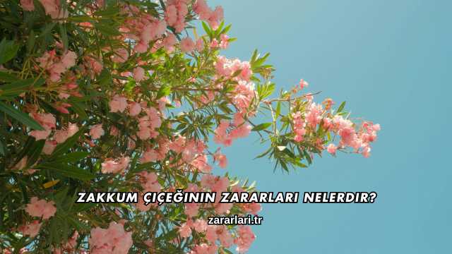 Zakkum Çiçeğinin Zararları Nelerdir?