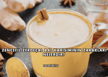 Zencefil Zerdeçal Bal Karışımının Zararları Nelerdir?