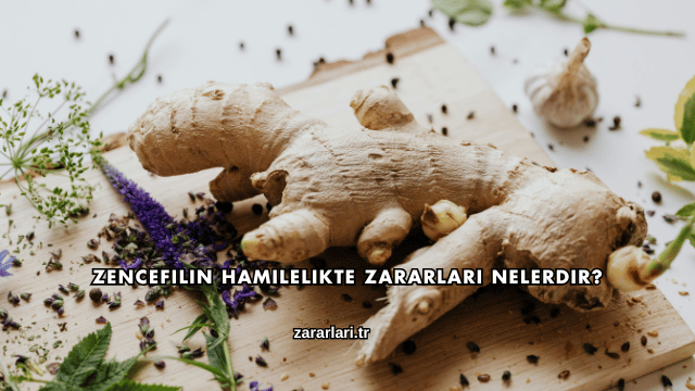 Zencefilin Hamilelikte Zararları Nelerdir?