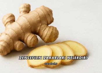 Zencefilin Zararları Nelerdir?