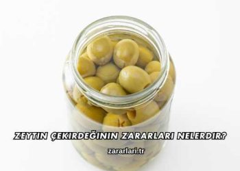 Zeytin Çekirdeğinin Zararları Nelerdir?