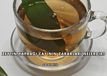 Zeytin Yaprağı Çayının Zararları Nelerdir?