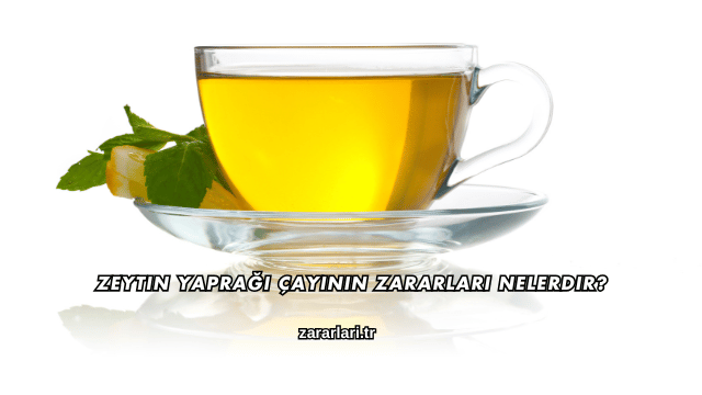 Zeytin Yaprağı Çayının Zararları Nelerdir?