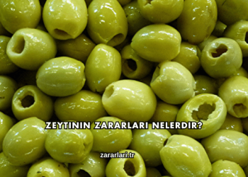Zeytinin Zararları Nelerdir?