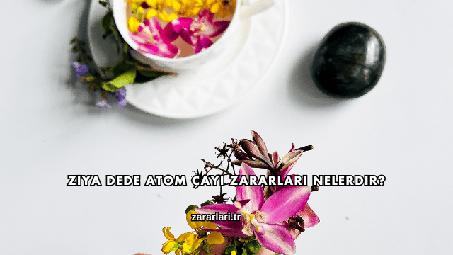 Ziya Dede Atom Çayı Zararları Nelerdir?